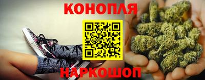 ешки Будённовск