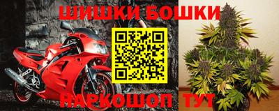 ПСИЛОЦИБИНОВЫЕ ГРИБЫ Бузулук