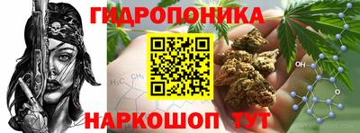 ПСИЛОЦИБИНОВЫЕ ГРИБЫ Бузулук