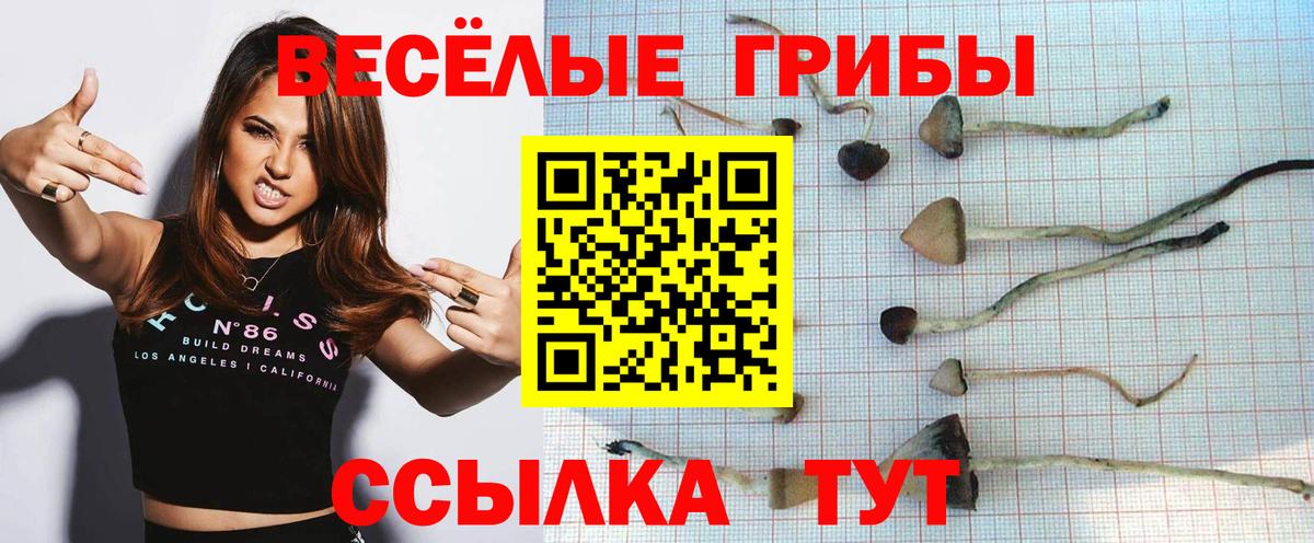 Рославль  Галлюциногенные грибы Cubensis  Вход с VPN 
