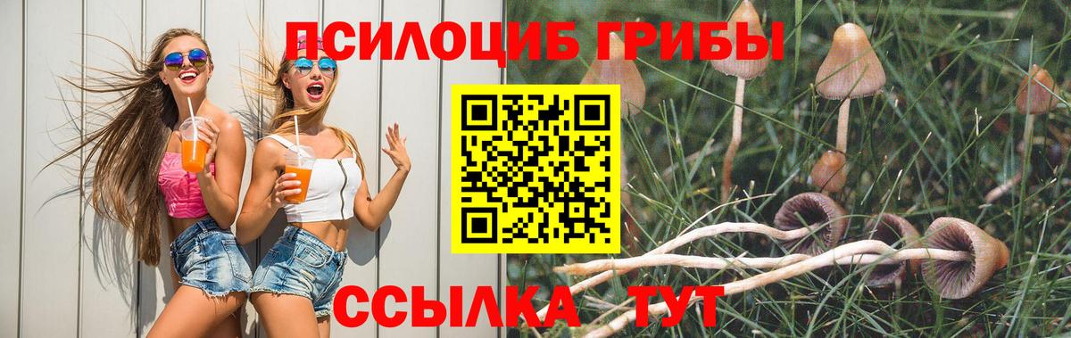 Галлюциногенные грибы MAGIC MUSHROOMS Рославль